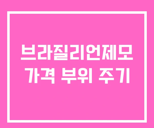 브라질리언제모 가격 부위 주기