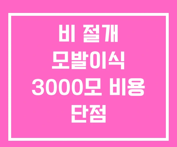 비 절개 모발이식 3000모 비용 단점 비 절개 모발이식 3000모 비용 단점