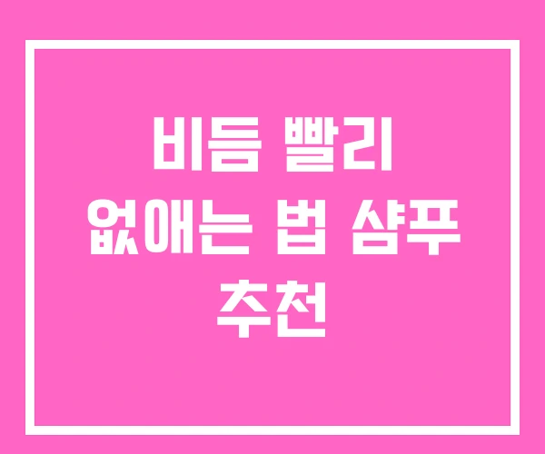 비듬 빨리 없애는 법 샴푸 추천