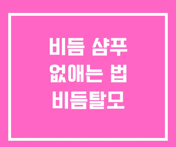 비듬 샴푸 없애는 법 비듬탈모