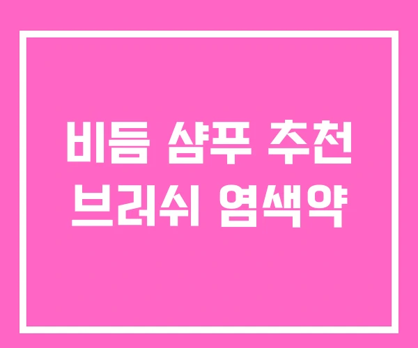 비듬 샴푸 추천 브러쉬 염색약