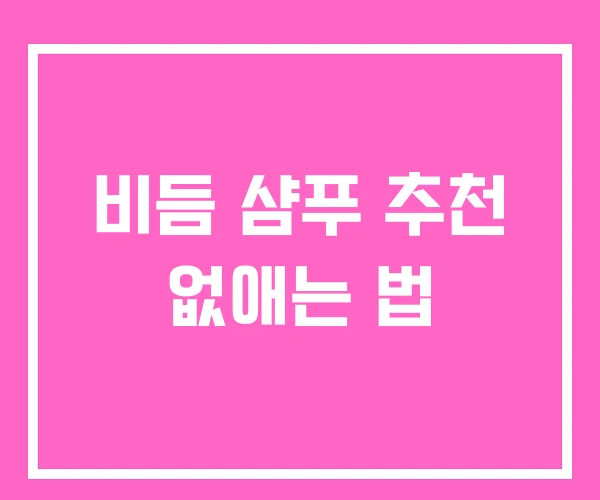 비듬 샴푸 추천 없애는 법