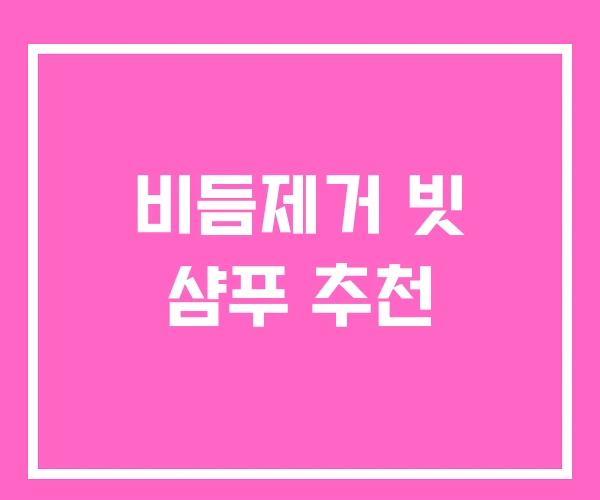 비듬제거 빗 샴푸 추천