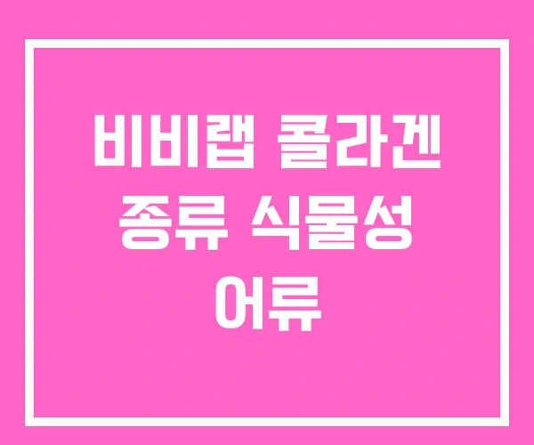 비비랩 콜라겐 종류 식물성 어류