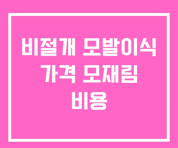 비절개 모발이식 가격 모재림 비용