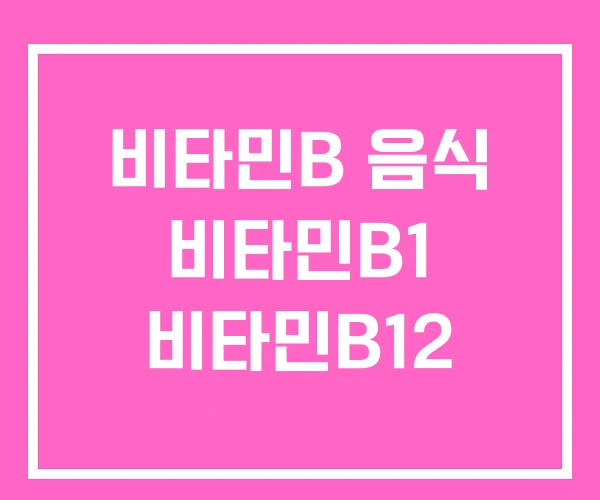 비타민B 음식 비타민B1 비타민B12