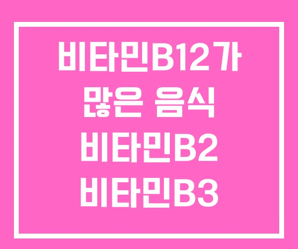 비타민B12가 많은 음식 비타민B2 비타민B3