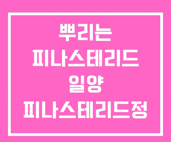 뿌리는 피나스테리드 일양 피나스테리드정 뿌리는 피나스테리드 일양 피나스테리드정