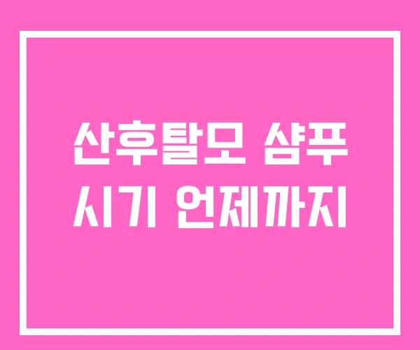 산후탈모 샴푸 시기 언제까지