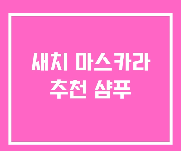 새치 마스카라 추천 샴푸