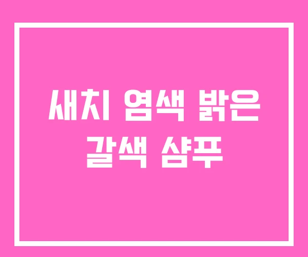 새치 염색 밝은 갈색 샴푸