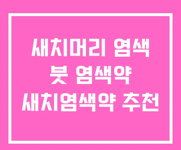 새치머리 염색 붓 염색약 새치염색약 추천