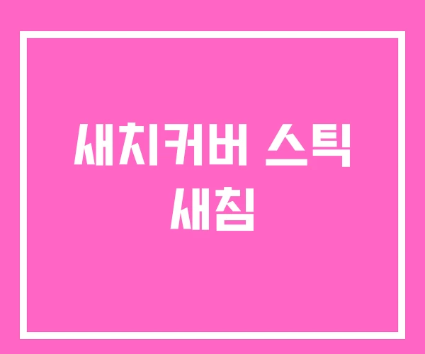 새치커버 스틱 새침