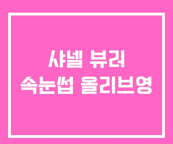 샤넬 뷰러 속눈썹 올리브영