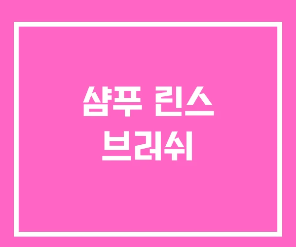 샴푸 린스 브러쉬