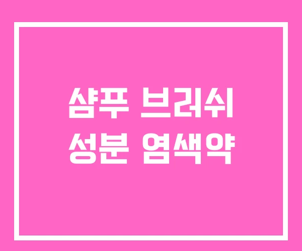 샴푸 브러쉬 성분 염색약 샴푸 브러쉬 성분 염색약