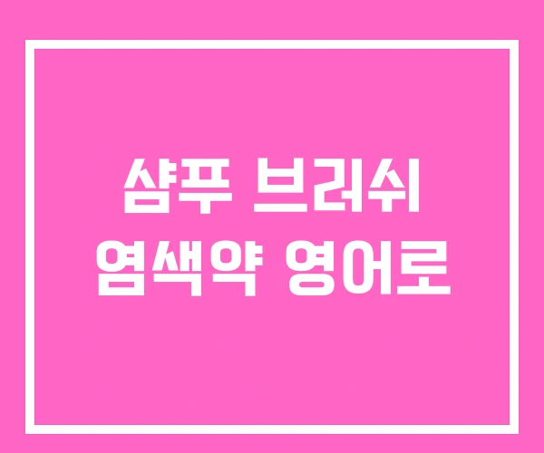 샴푸 브러쉬 염색약 영어로