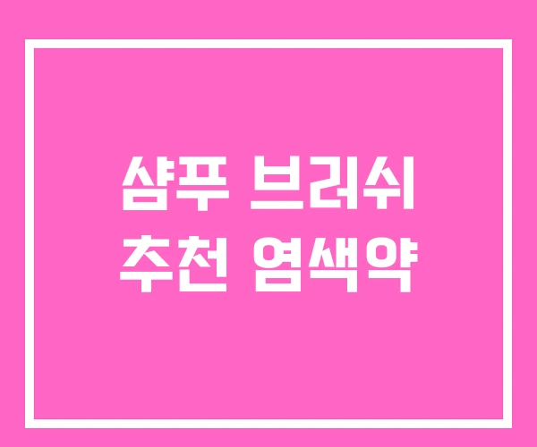 샴푸 브러쉬 추천 염색약