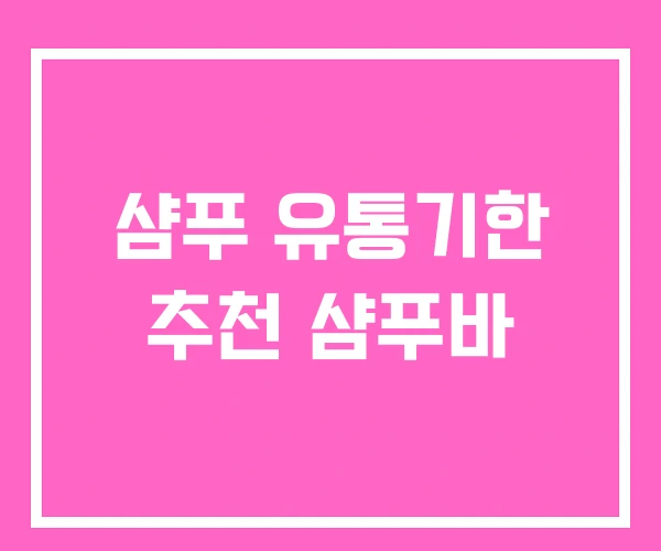 샴푸 유통기한 추천 샴푸바