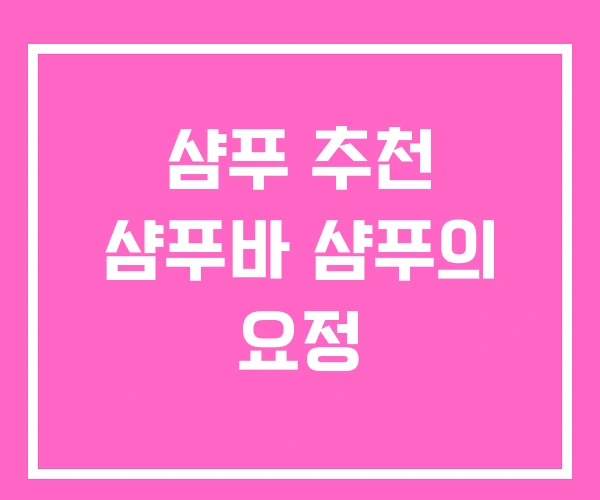 샴푸 추천 샴푸바 샴푸의 요정