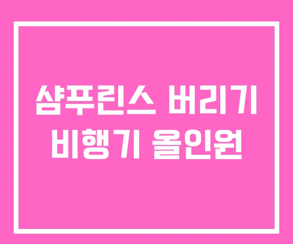 샴푸린스 버리기 비행기 올인원