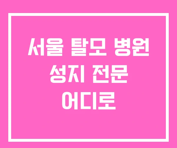 서울 탈모 병원 성지 전문 어디로 서울 탈모 병원 성지 전문 어디로