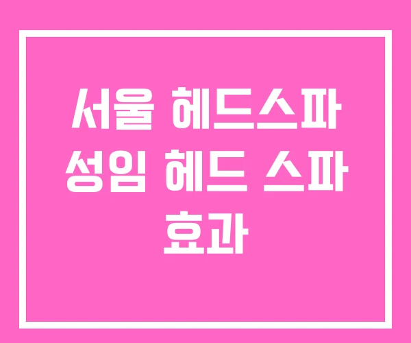 서울 헤드스파 성임 헤드 스파 효과 서울 헤드스파 성임 헤드 스파 효과