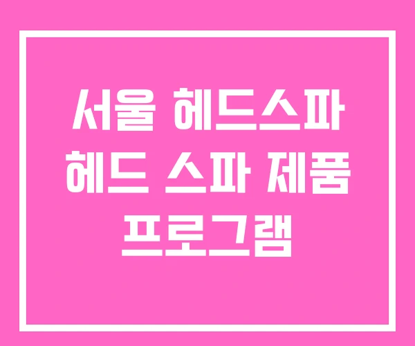 서울 헤드스파 헤드 스파 제품 프로그램