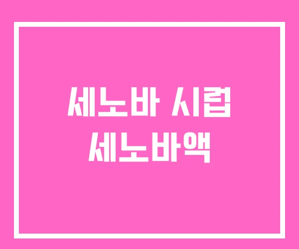 세노바 시럽 세노바액