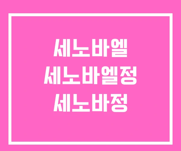 세노바엘 세노바엘정 세노바정