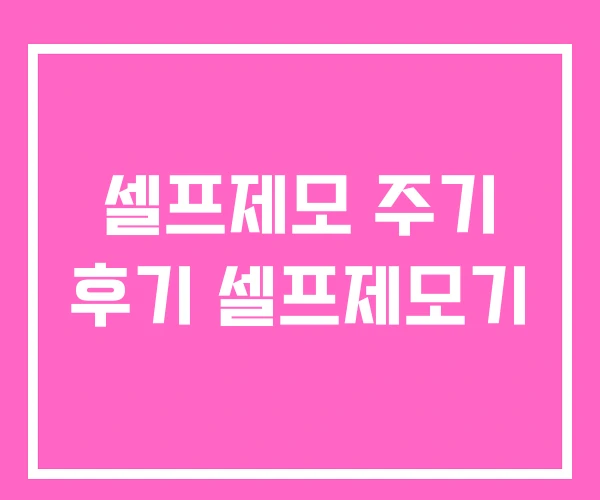 셀프제모 주기 후기 셀프제모기