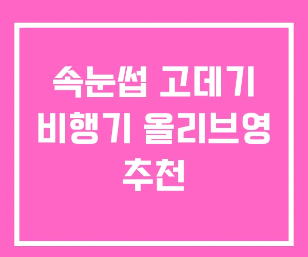 속눈썹 고데기 비행기 올리브영 추천