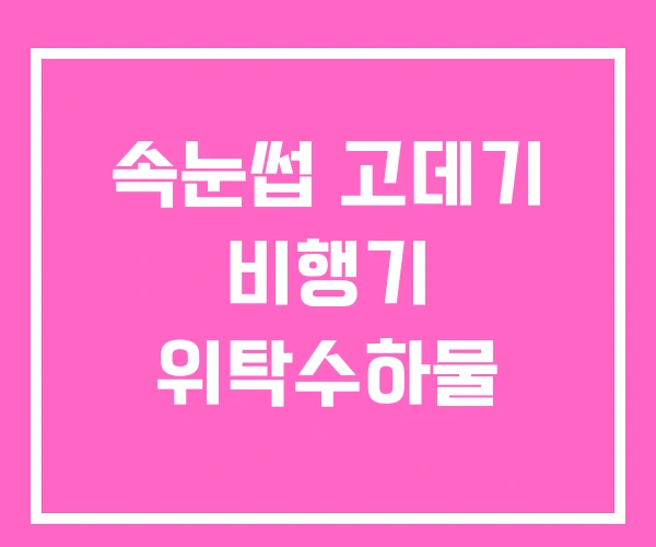 속눈썹 고데기 비행기 위탁수하물