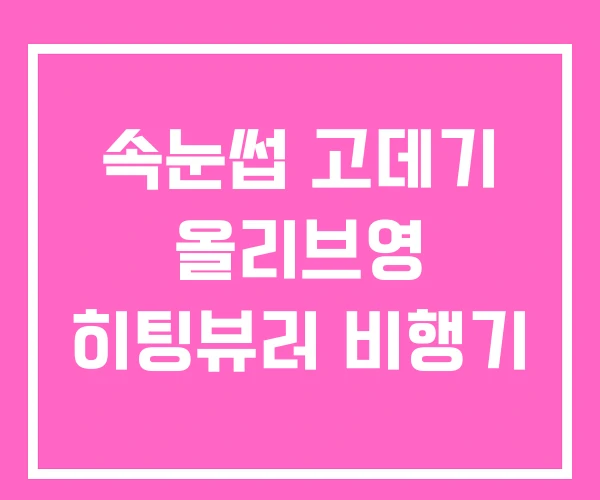 속눈썹 고데기 올리브영 히팅뷰러 비행기
