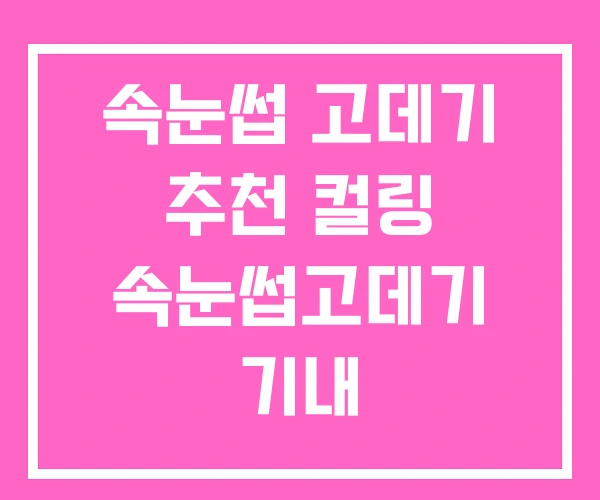 속눈썹 고데기 추천 컬링 속눈썹고데기 기내