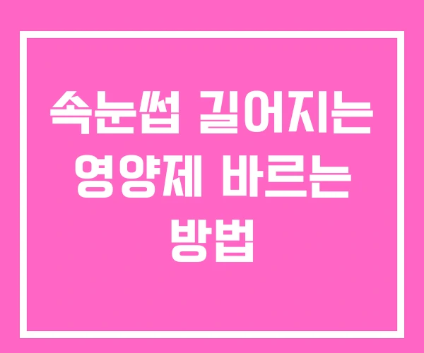 속눈썹 길어지는 영양제 바르는 방법