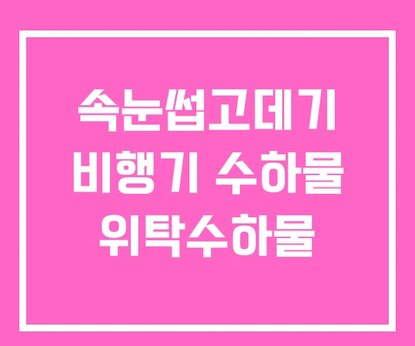 속눈썹고데기 비행기 수하물 위탁수하물