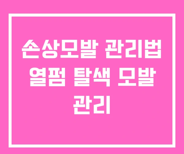 손상모발 관리법 열펌 탈색 모발 관리 손상모발 관리법 열펌 탈색 모발 관리