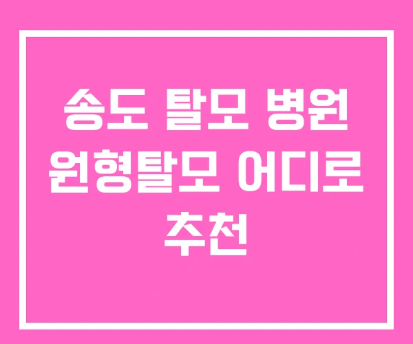 송도 탈모 병원 원형탈모 어디로 추천 송도 탈모 병원 원형탈모 어디로 추천