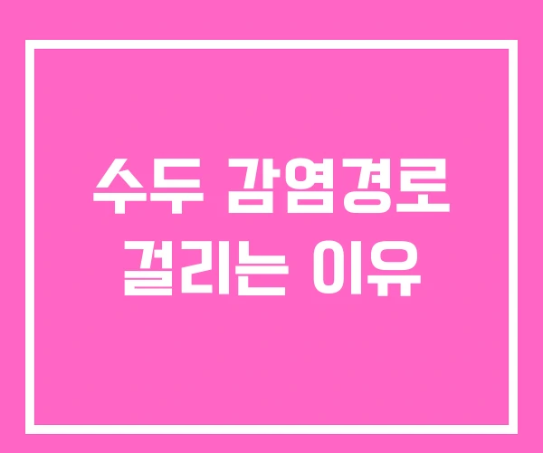 수두 감염경로 걸리는 이유