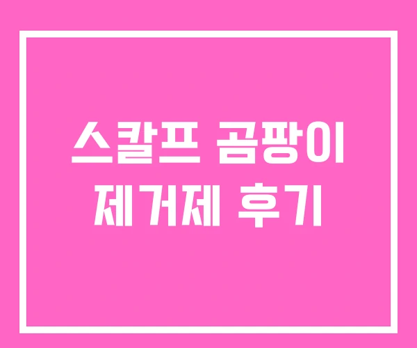 스칼프 곰팡이 제거제 후기