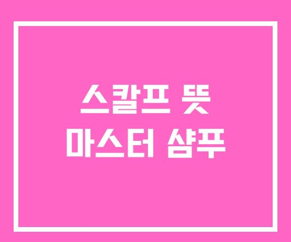 스칼프 뜻 마스터 샴푸