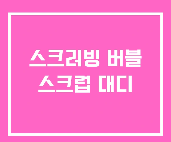 스크러빙 버블 스크럽 대디