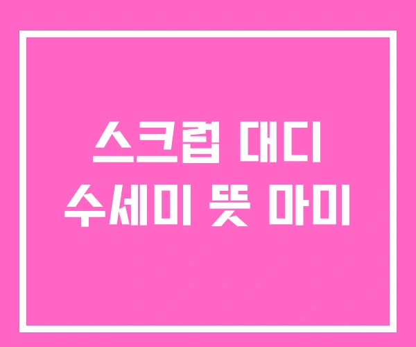 스크럽 대디 수세미 뜻 마미