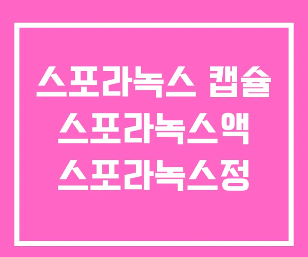 스포라녹스 캡슐 스포라녹스액 스포라녹스정