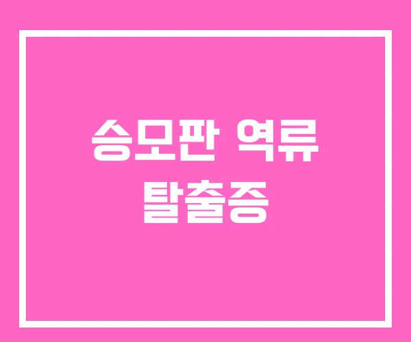 승모판 역류 탈출증