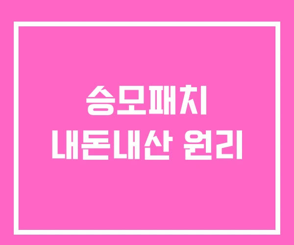 승모패치 내돈내산 원리