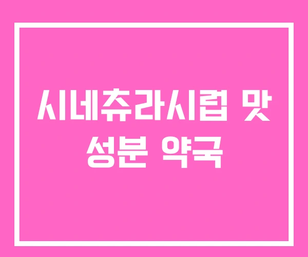 시네츄라시럽 맛 성분 약국