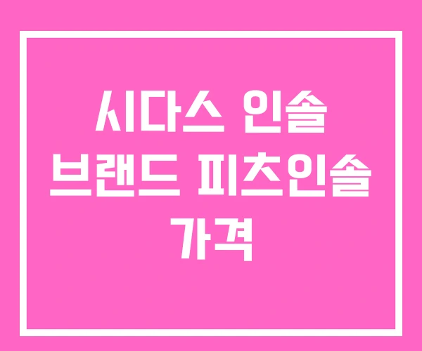 시다스 인솔 브랜드 피츠인솔 가격