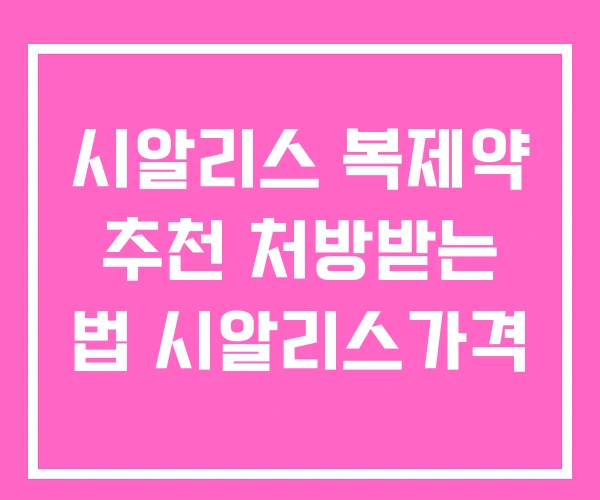 시알리스 복제약 추천 처방받는 법 시알리스가격